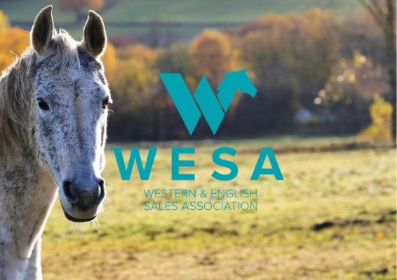 Welcome to WESA - WESA 101