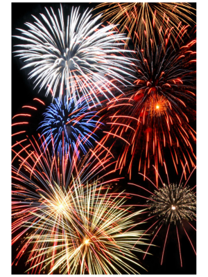 Why the New Government Firework Consultation Matters for Every UK Horse Owner