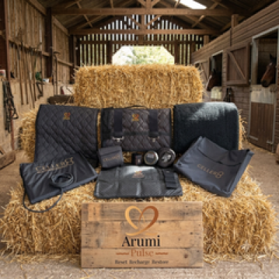 Mustangs’ Corral Spotlight – Arumi Pulse