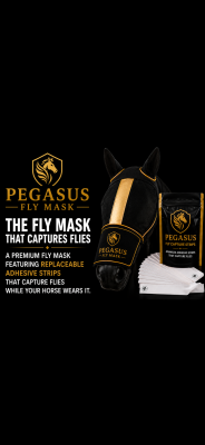 The Pegasus Fly Mask
